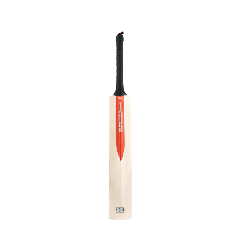 Gray Nicolls Legend Silver Edition Cricket Bat