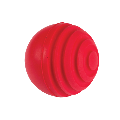 Gray Nicolls Indoor Wobble ball