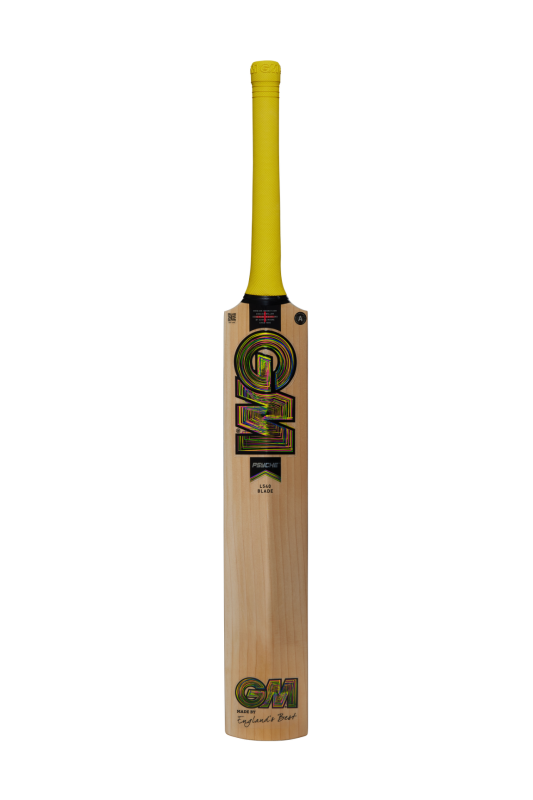 Gunn and Moore Psyche DXM 404 Cricket Bat