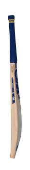 Gunn & Moore Brava DXM 808 Cricket Bat