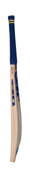 Gunn & Moore Brava DXM Original Cricket Bat