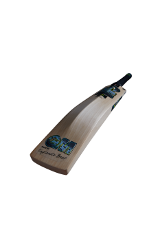 Gunn & Moore Aion DXM 404 Junior Cricket Bat