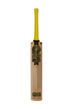 Gunn and Moore Psyche DXM 404 Cricket Bat