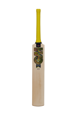 Gunn and Moore Psyche DXM 404 Junior Cricket Bat