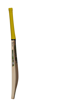 Gunn and Moore Psyche DXM 404 Cricket Bat