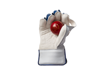Gunn & Moore Mana 909 Wicket Keeping Gloves